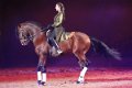 Apassionata_2014    022